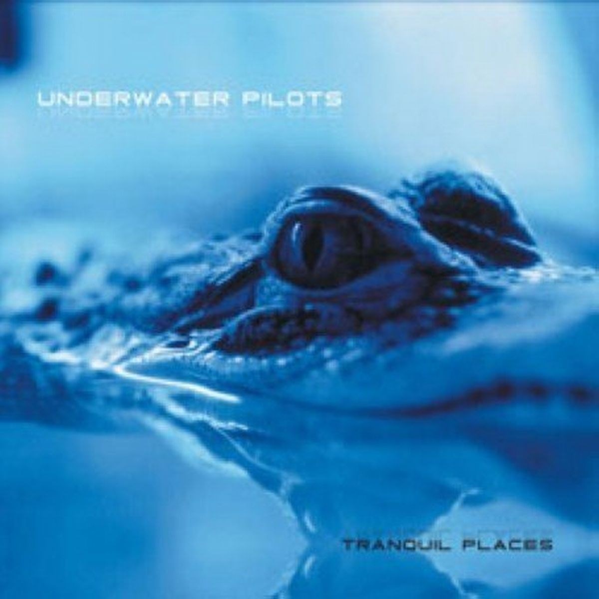 Afbeelding van Underwater Pilots - Tranquil Places