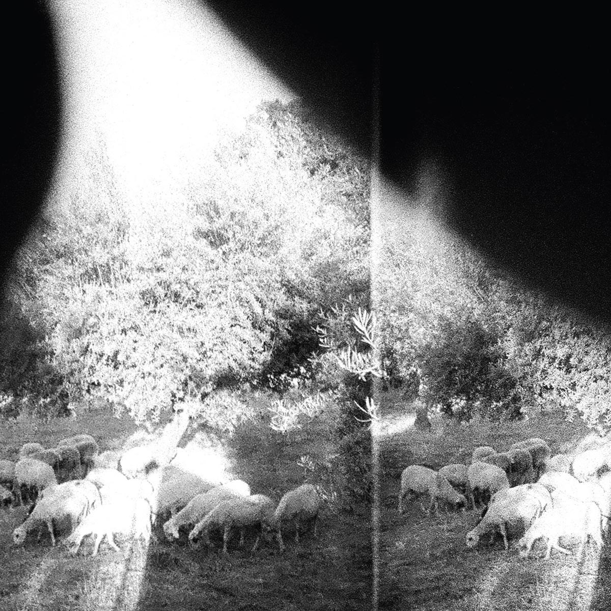 Afbeelding van Godspeed You! Black Emperor - Asunder, Sweet And Other Distress