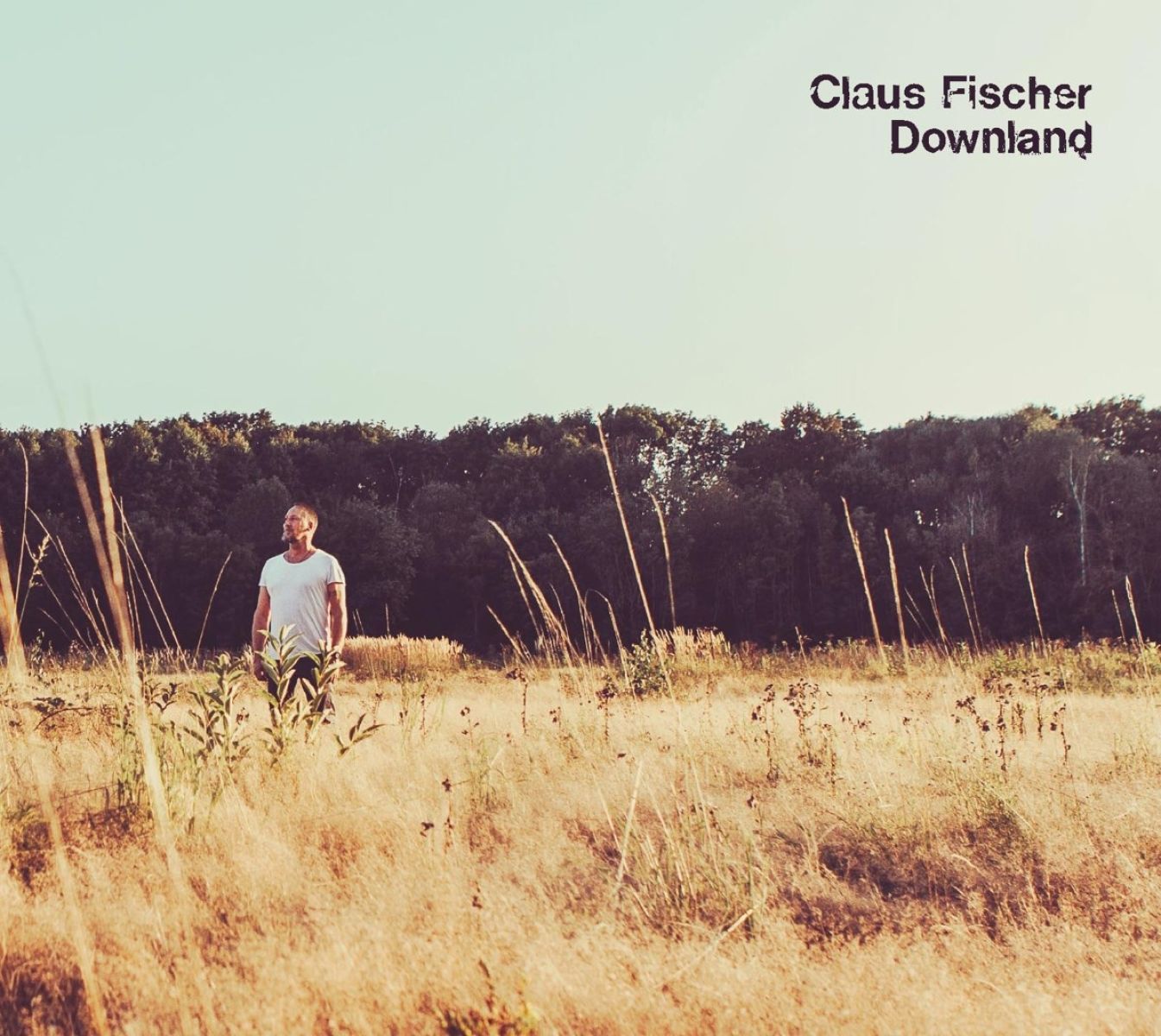 Afbeelding van Claus Fischer - Downland