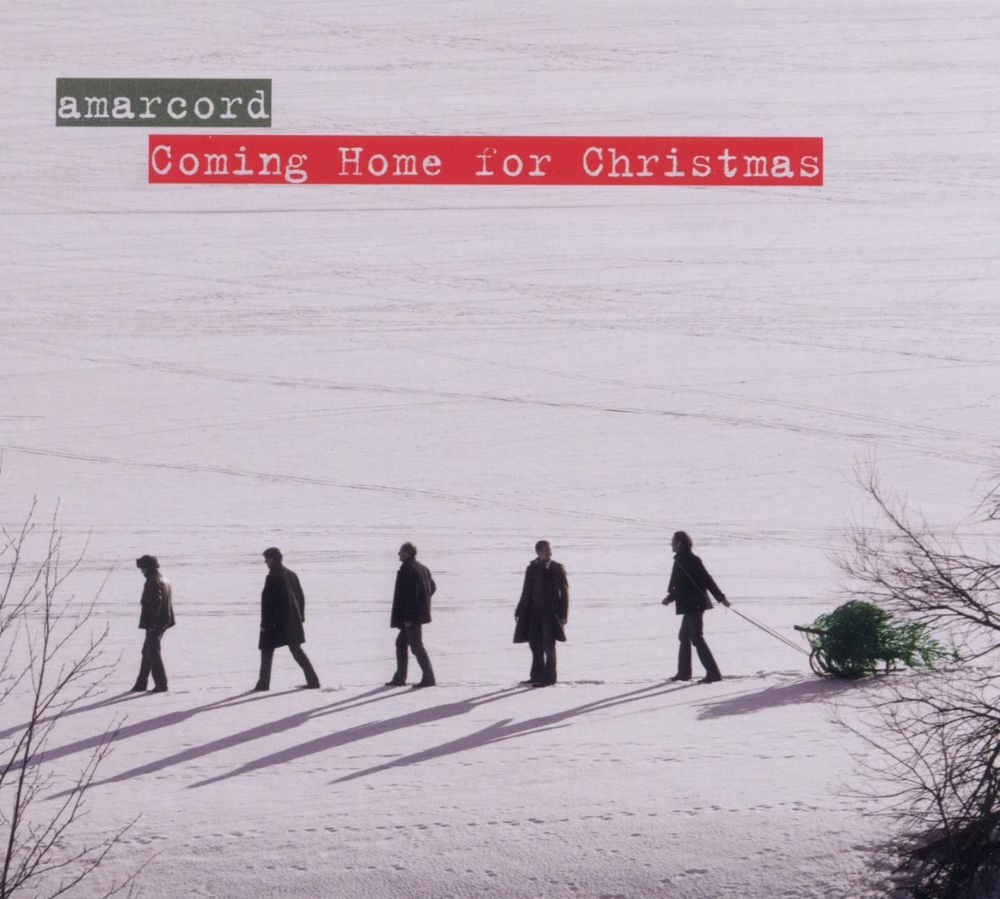 Afbeelding van Amarcord - Coming Home For Christmas