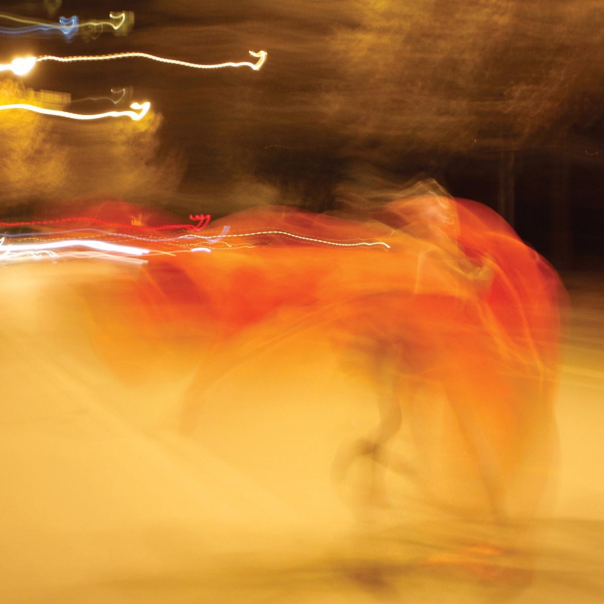 Afbeelding van William Basinski - A Shadow In Time