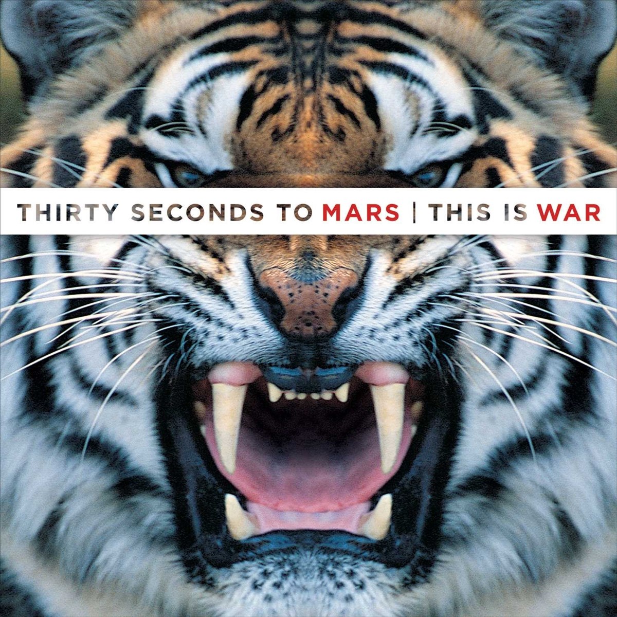 30 Seconds To Mars - This Is War