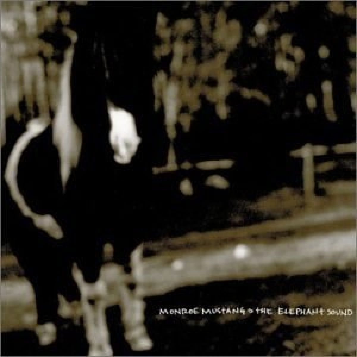 Afbeelding van Monroe Mustang - The Elephant Sound