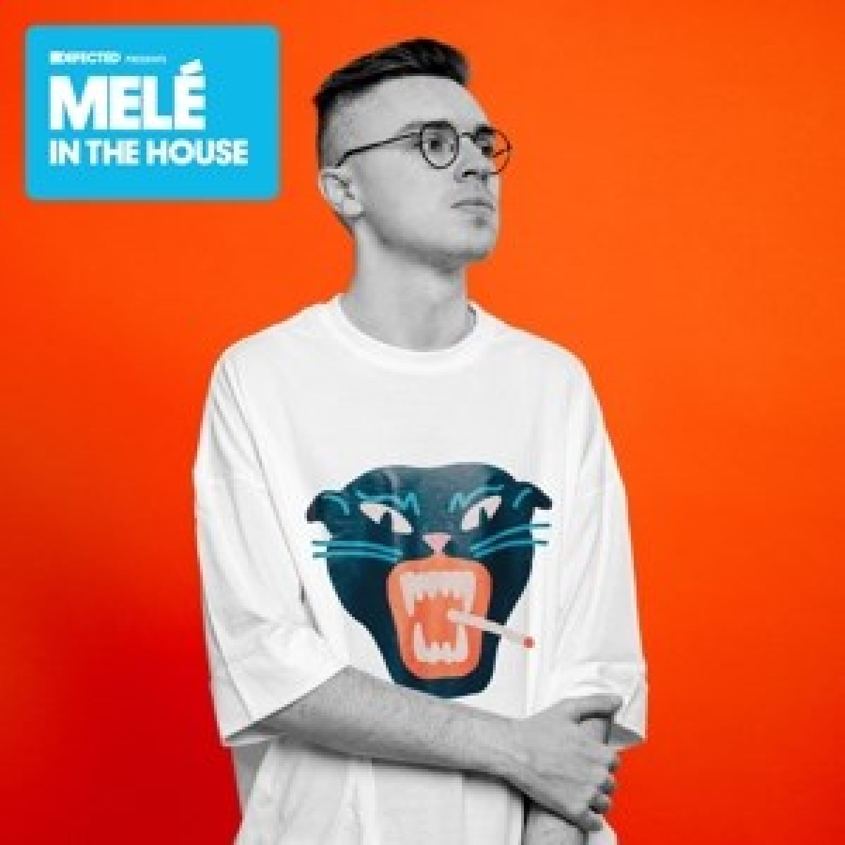 Various Artists - Defected Presents Melé In The House