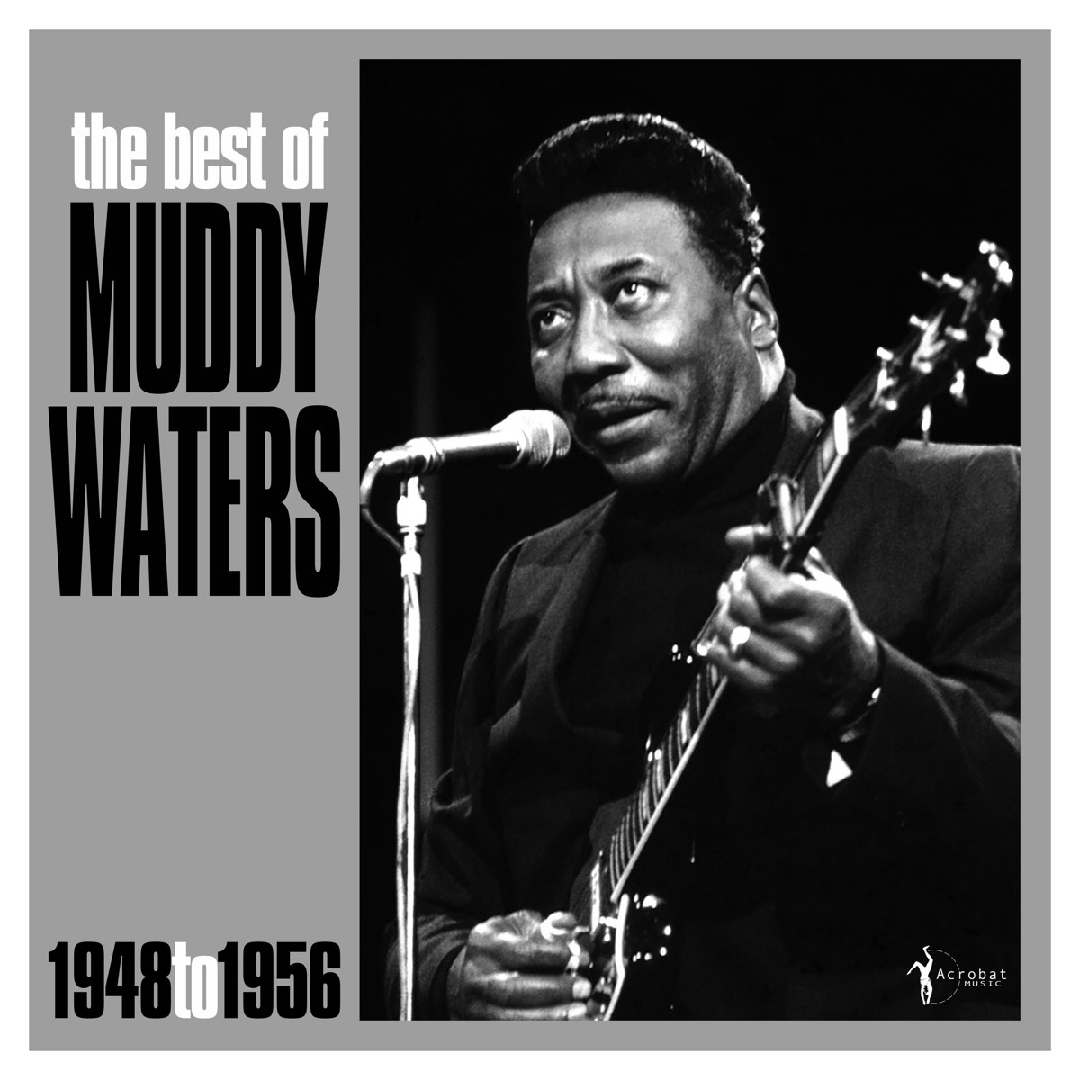 Afbeelding van Muddy Waters - The Best Of Muddy Waters (1948-1956)