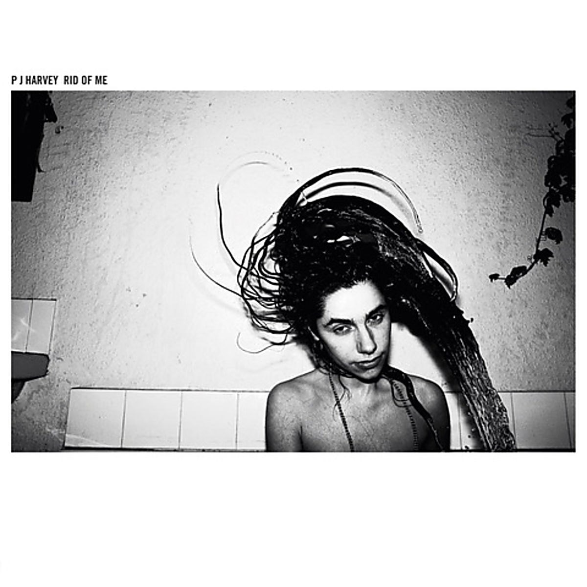 Afbeelding van PJ Harvey - Rid Of Me
