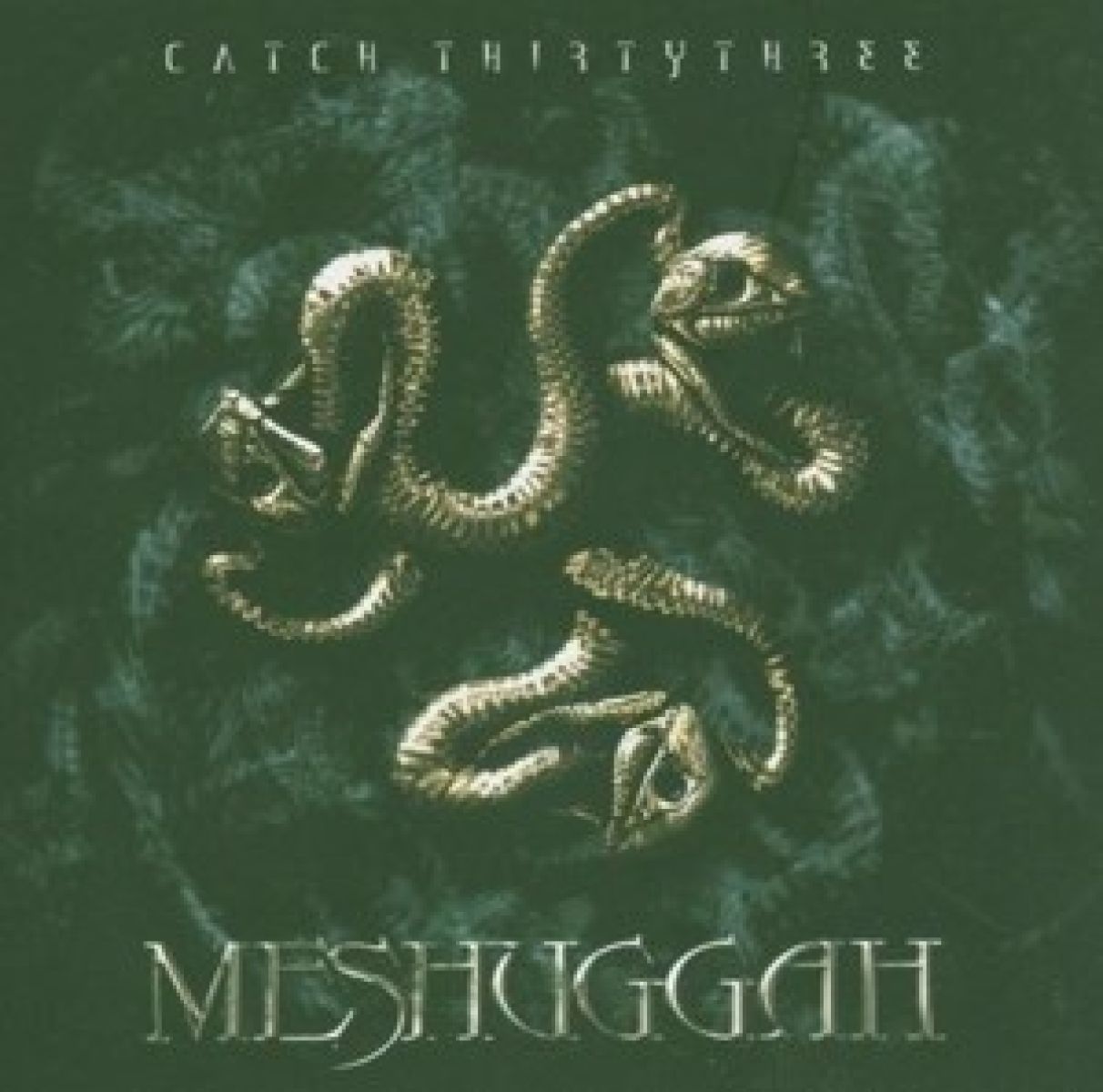 Afbeelding van Meshuggah - Catch 33