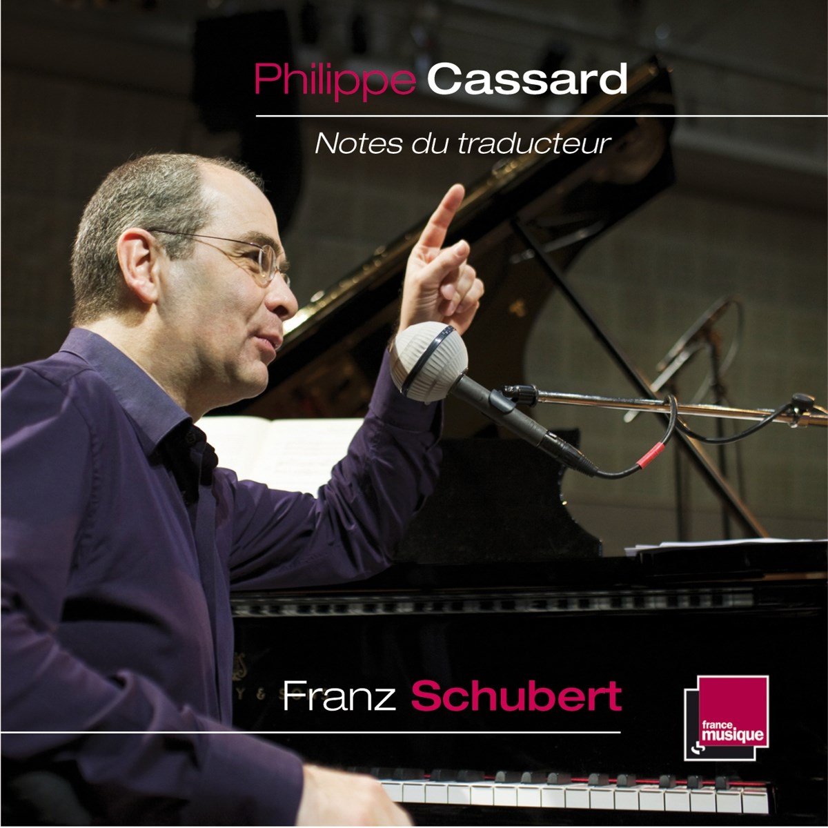Afbeelding van Philippe Cassard - Stravinsky: Notes Du Traducteur Volume 1