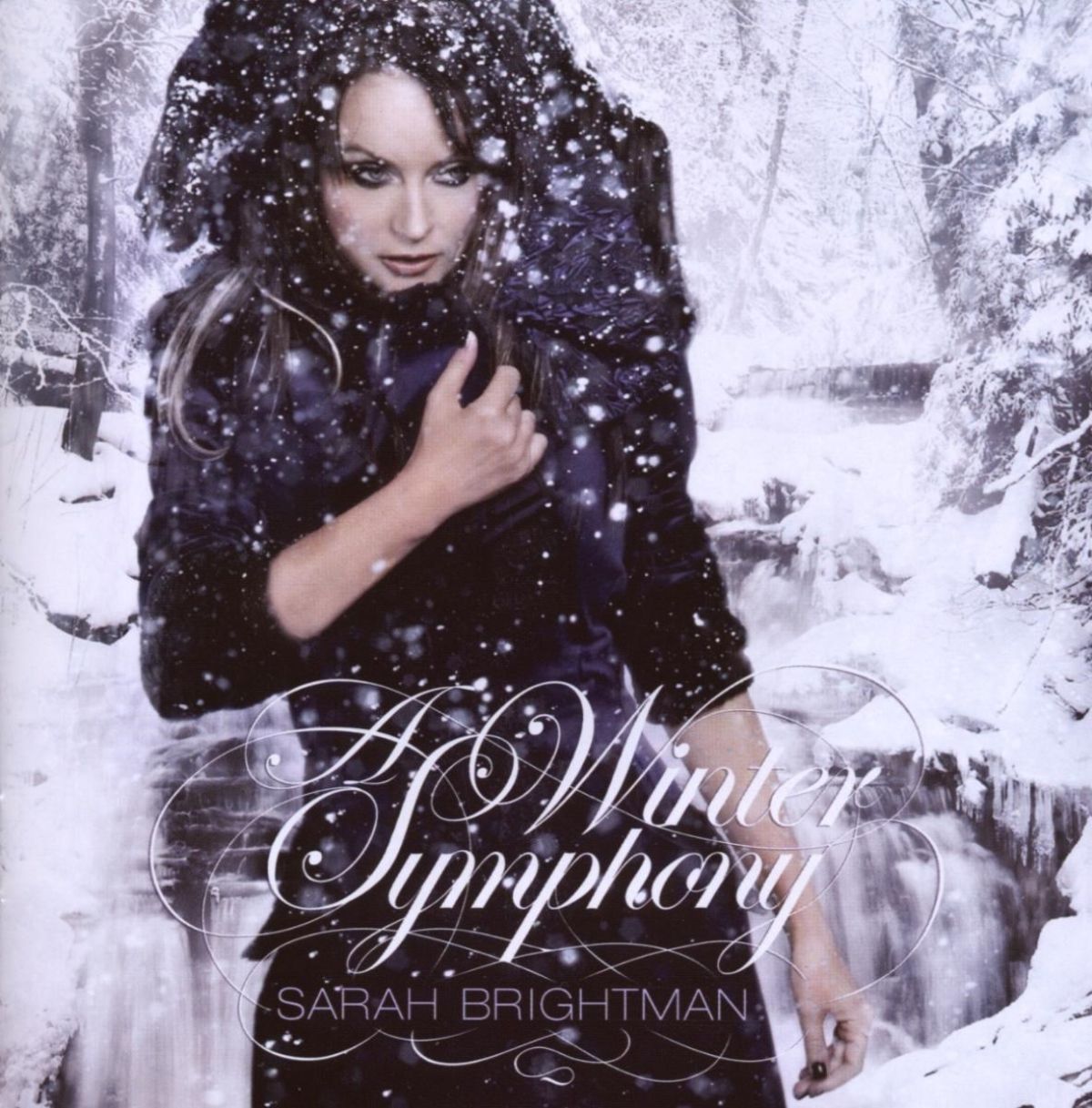 Afbeelding van A Winter Symphony