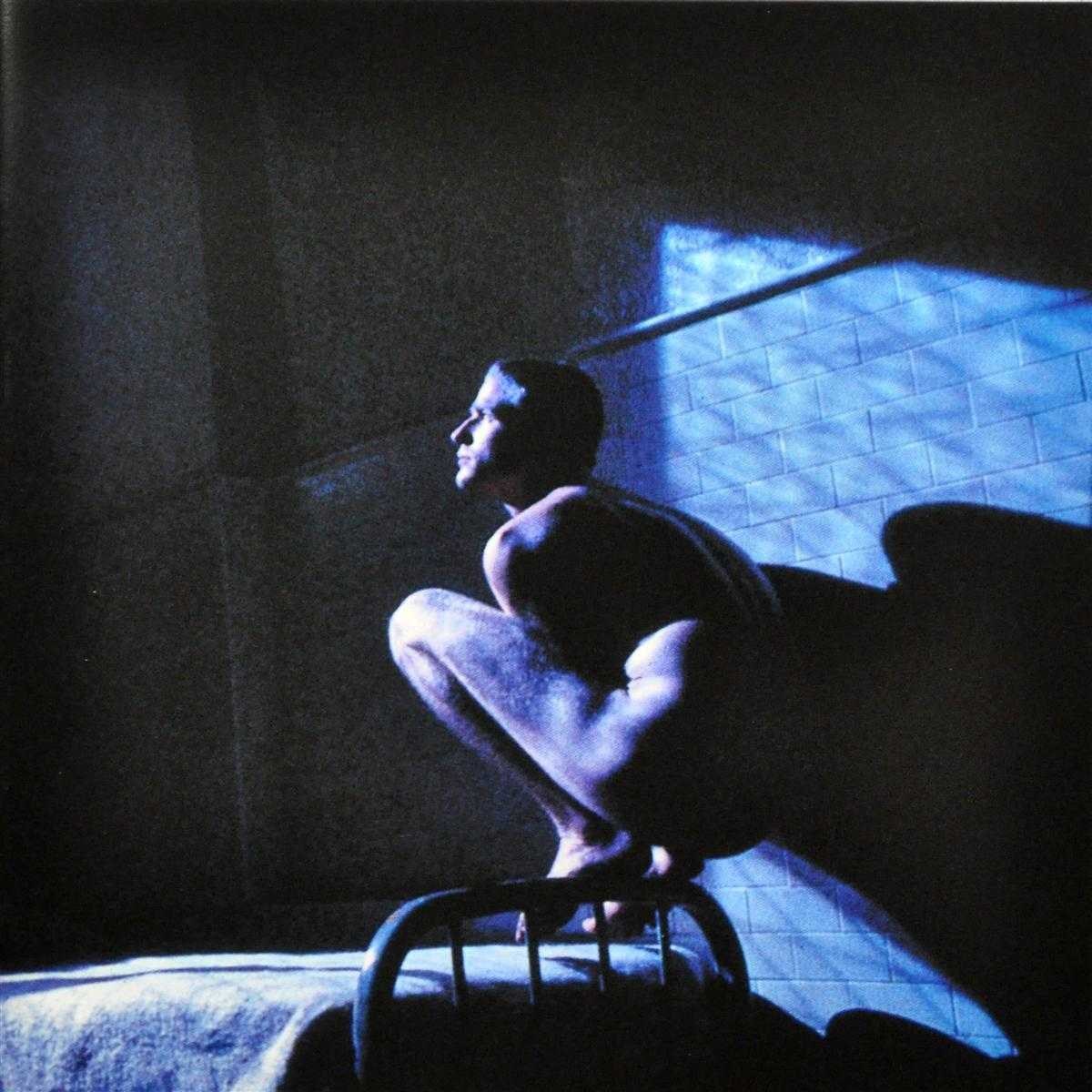 Afbeelding van Peter Gabriel - Birdy