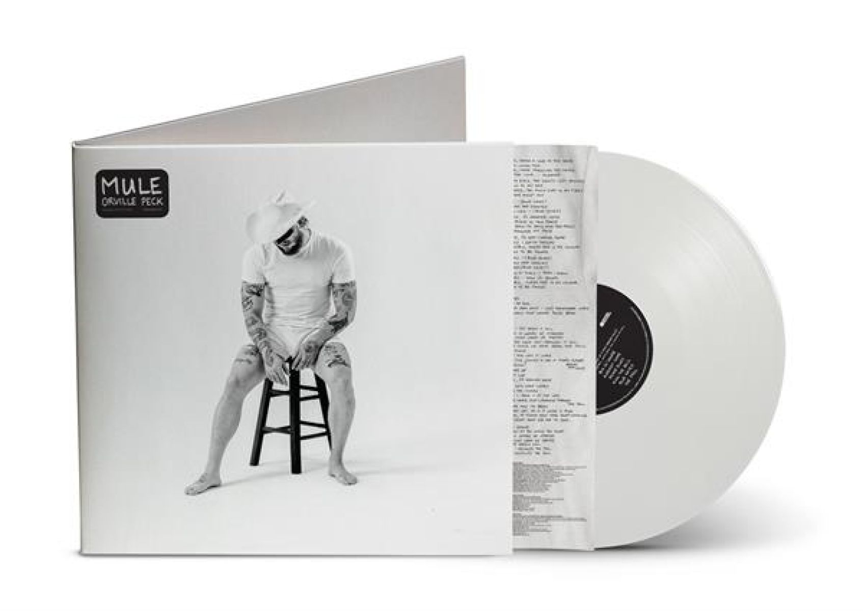 Afbeelding van Orville Peck - Mule