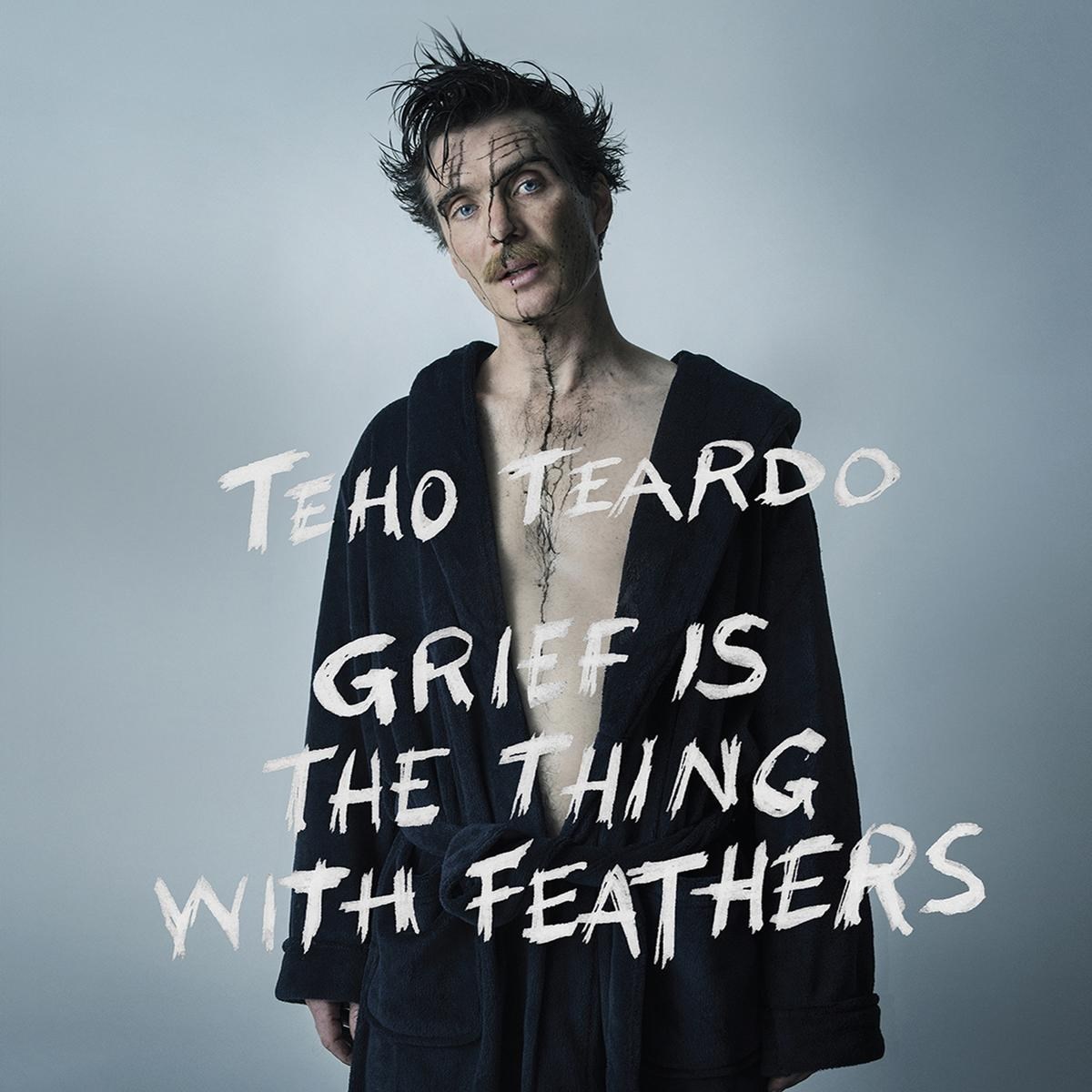 Afbeelding van Grief Is The Thing With Feathers