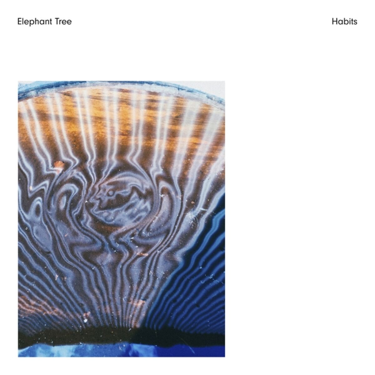 Afbeelding van Elephant Tree - Habits