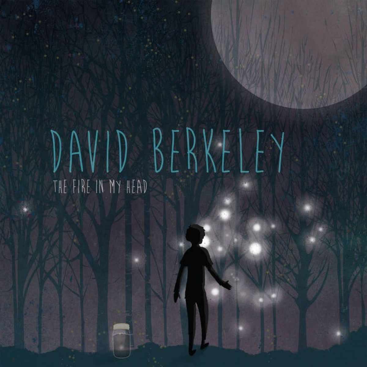 David Berkeley - The Fire In My Head
