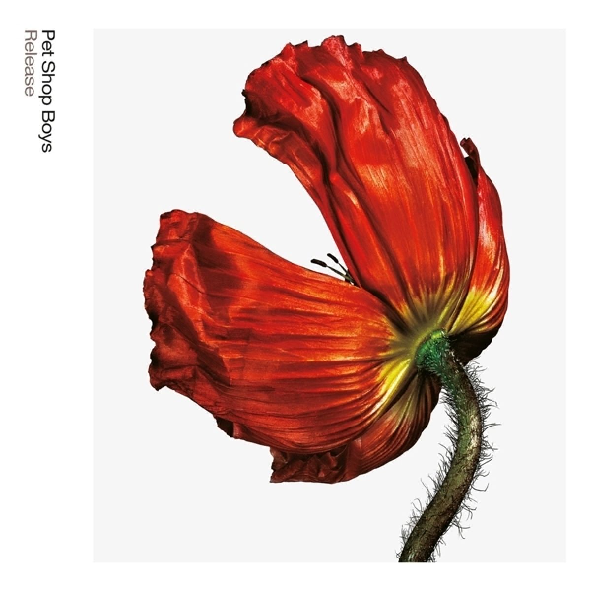 Afbeelding van Pet Shop Boys - Release: Further Listening