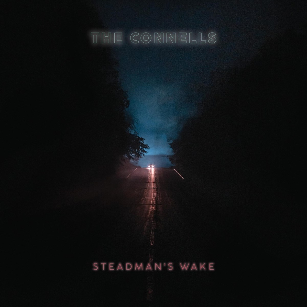 Afbeelding van Connells - Steadman's Wake