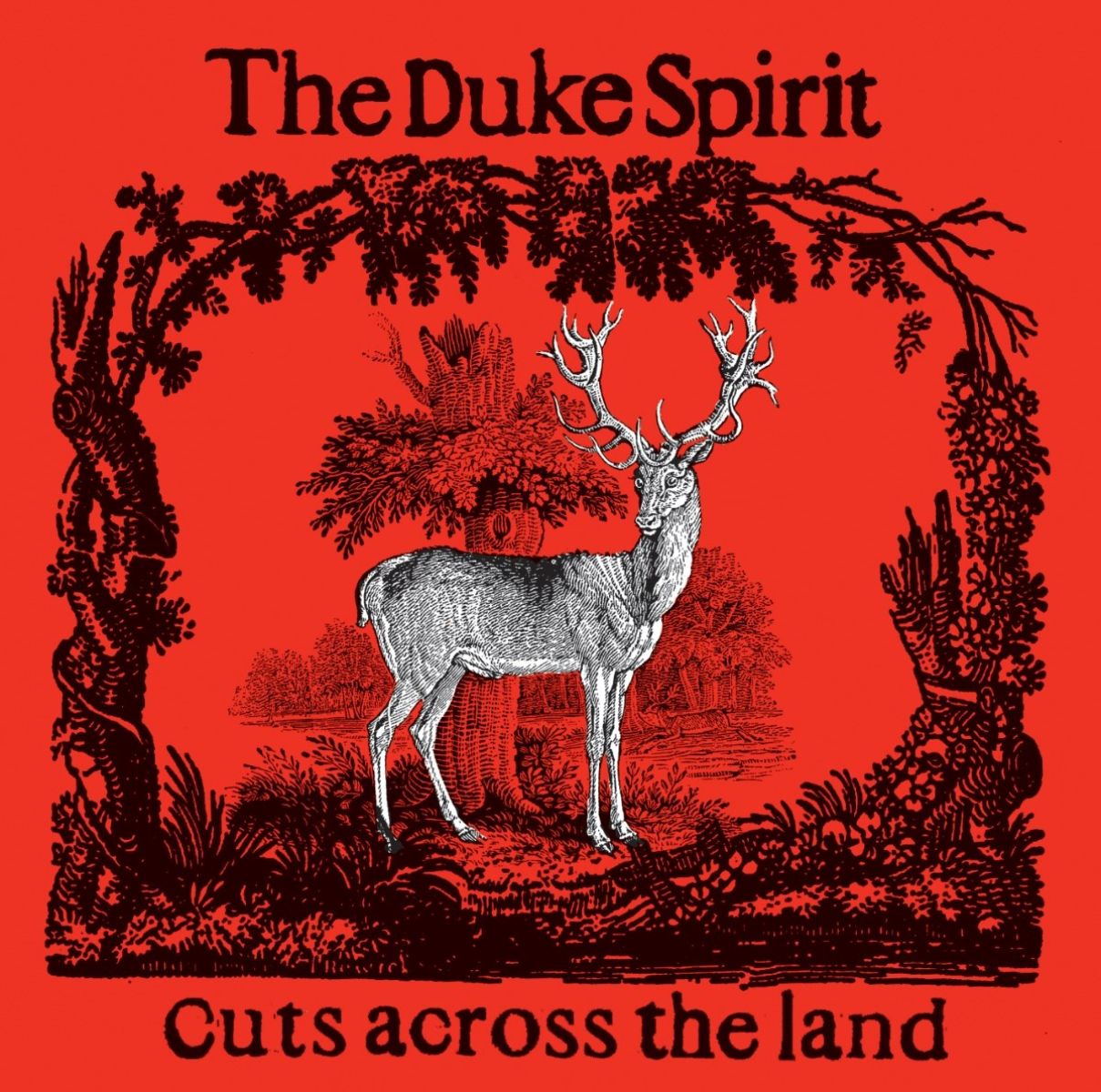 Duke Spirit - Cuts Across The Land