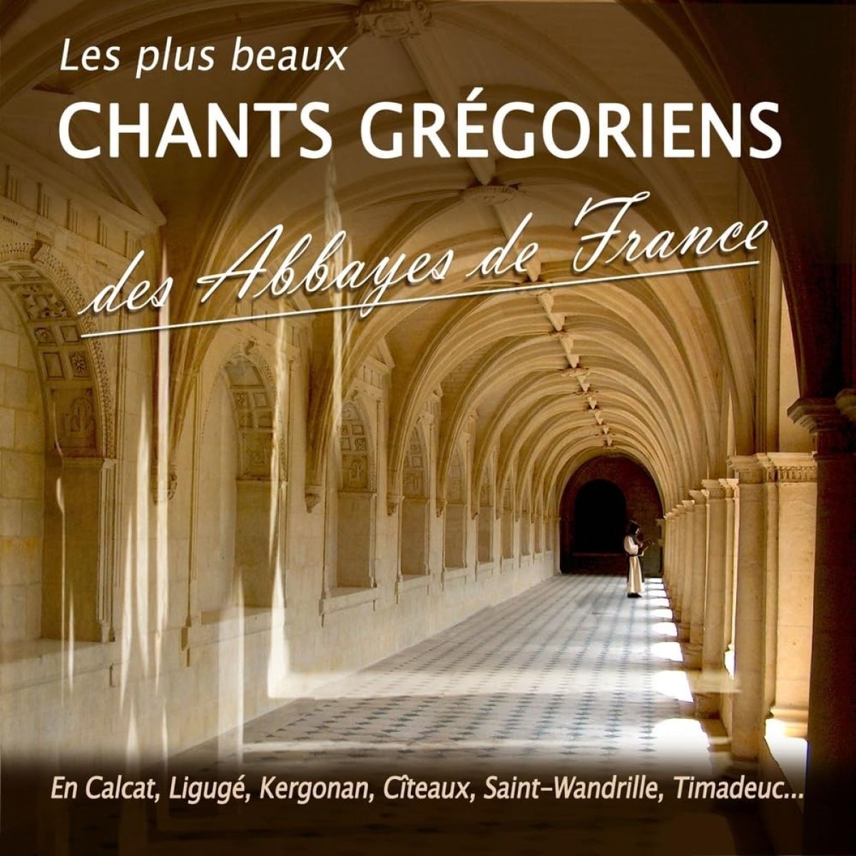 Afbeelding van Various Artists - Les Plus Beaux Chants Grégoriens Des Abbayes De France