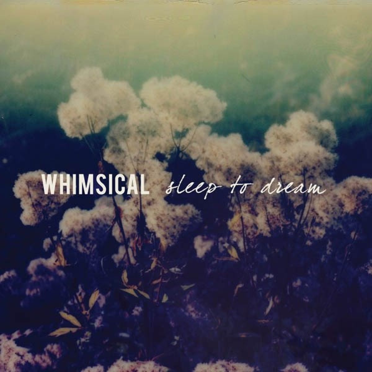 Afbeelding van Whimsical - Sleep To Dream