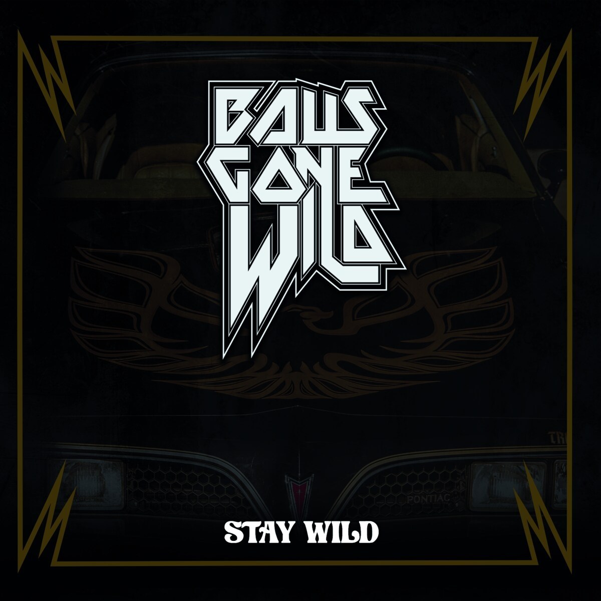 Afbeelding van Balls Gone Wild - Stay Wild