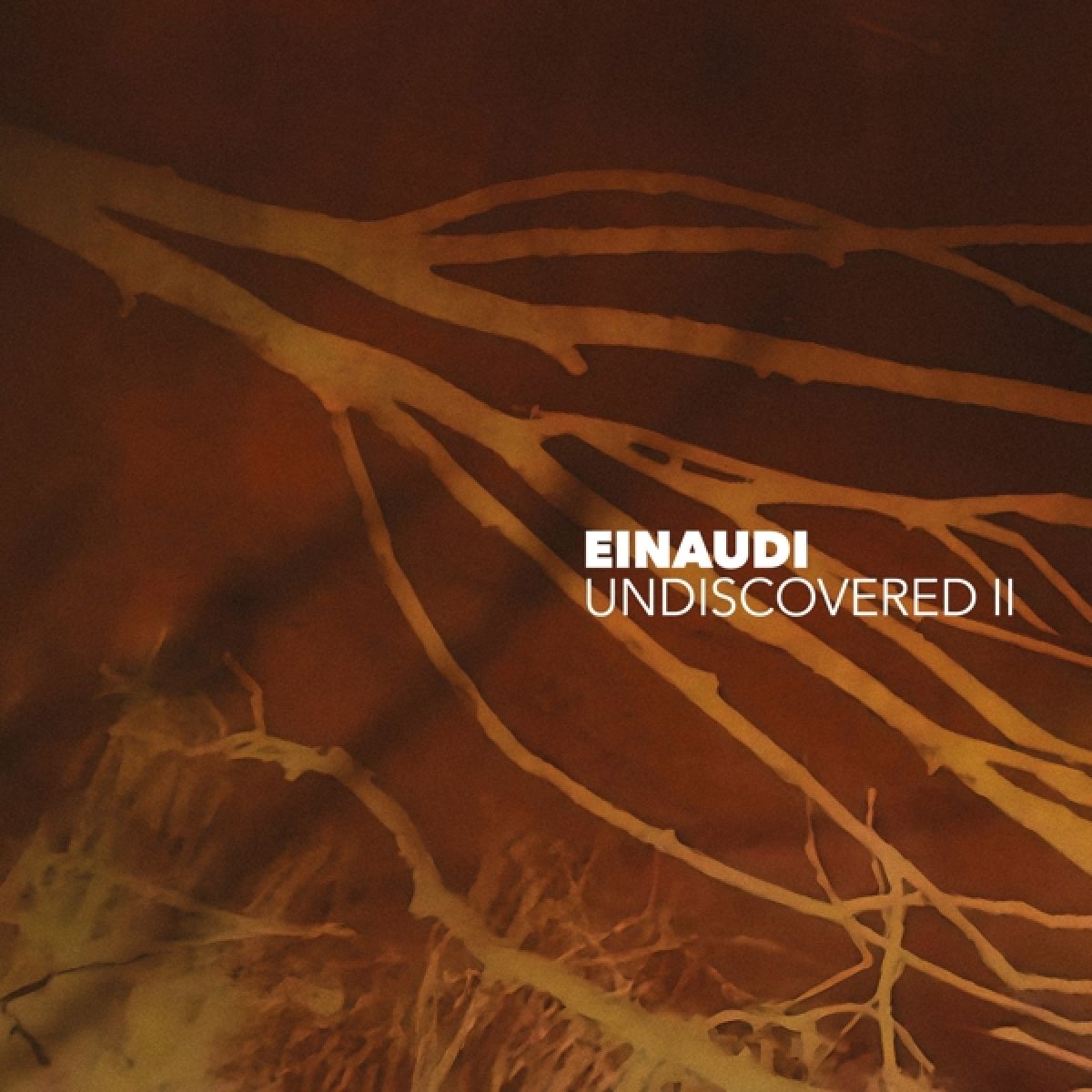 Afbeelding van Ludovico Einaudi - Undiscovered Vol.2