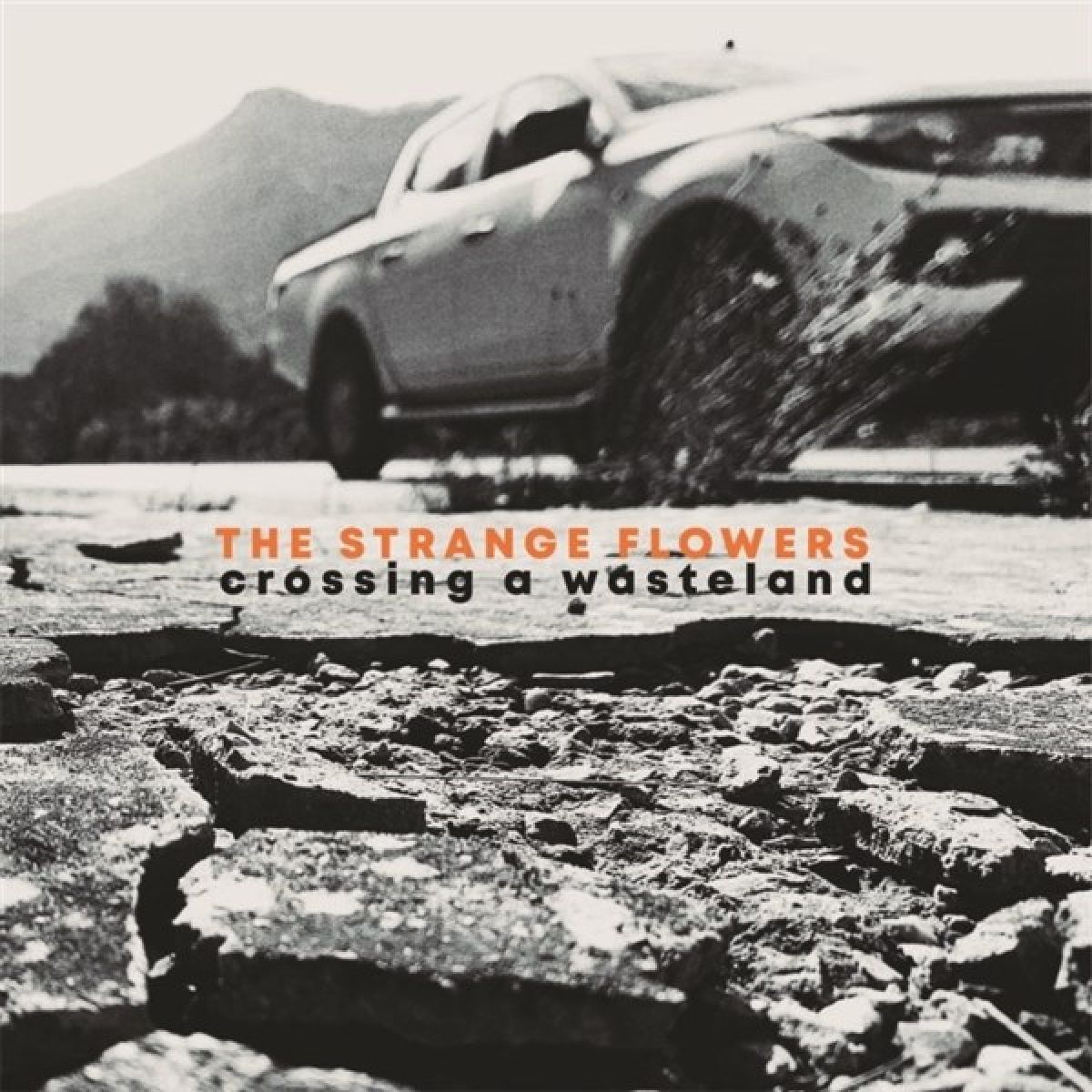 Afbeelding van Strange Flowers - Crossing A Wasteland