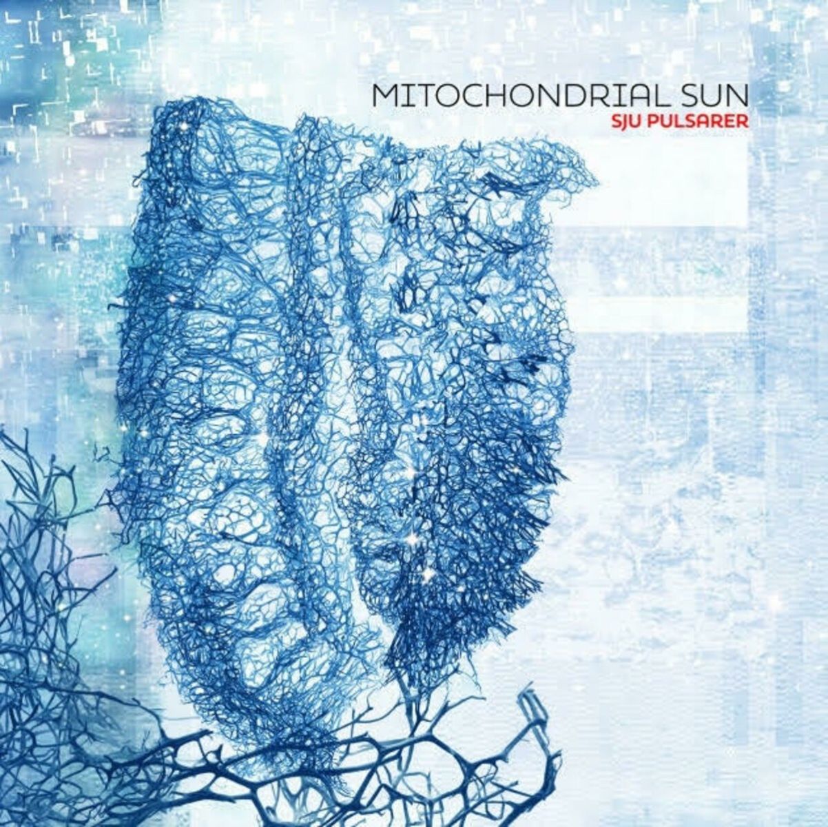 Afbeelding van Mitochondrial Sun - Sju Pulsarer