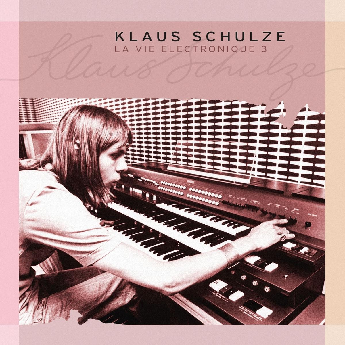 Afbeelding van Klaus Schulze - La Vie Electronique Vol.3