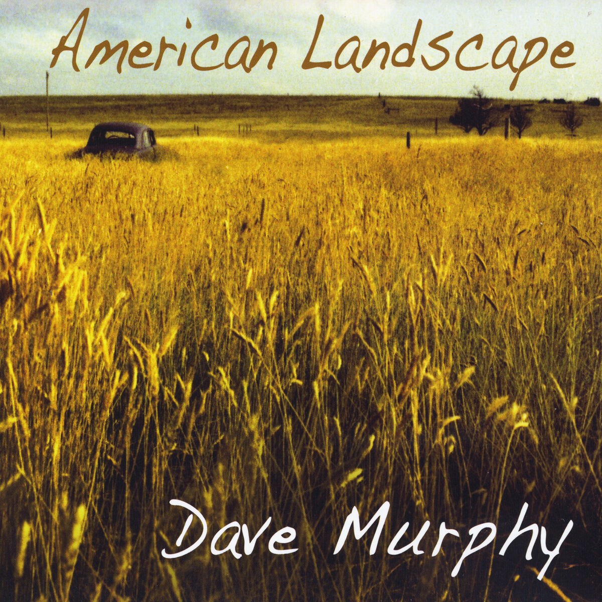 Afbeelding van Dave Murphy - American Landscape