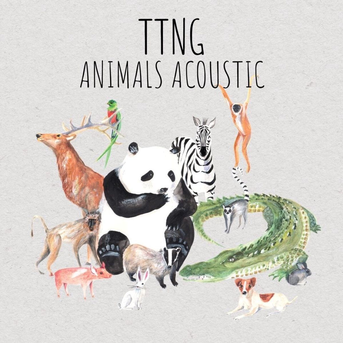 Afbeelding van This Town Needs Guns - Animals Acoustic
