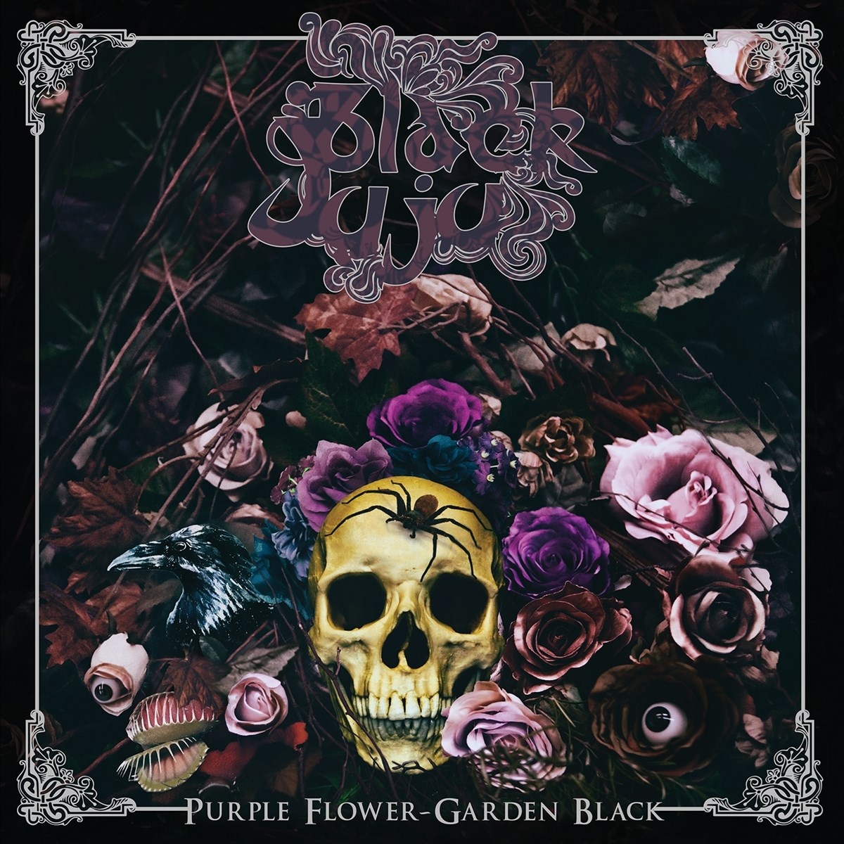 Black Juju - Purple Flower - Garden Black