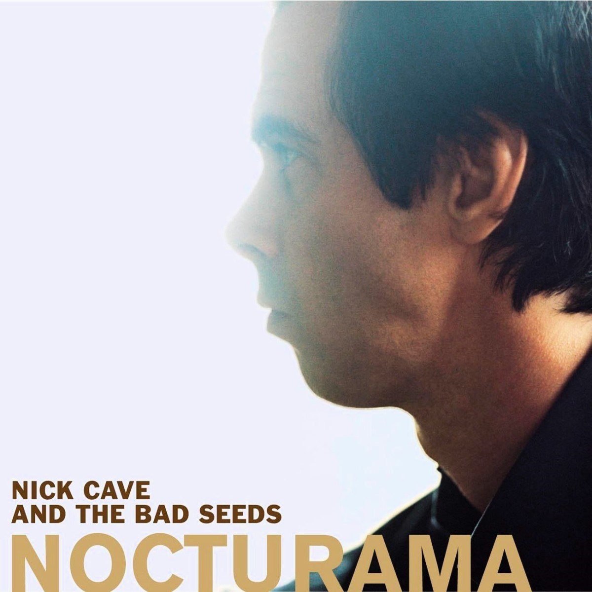 Afbeelding van Nick Cave & The Bad Seeds - Nocturama