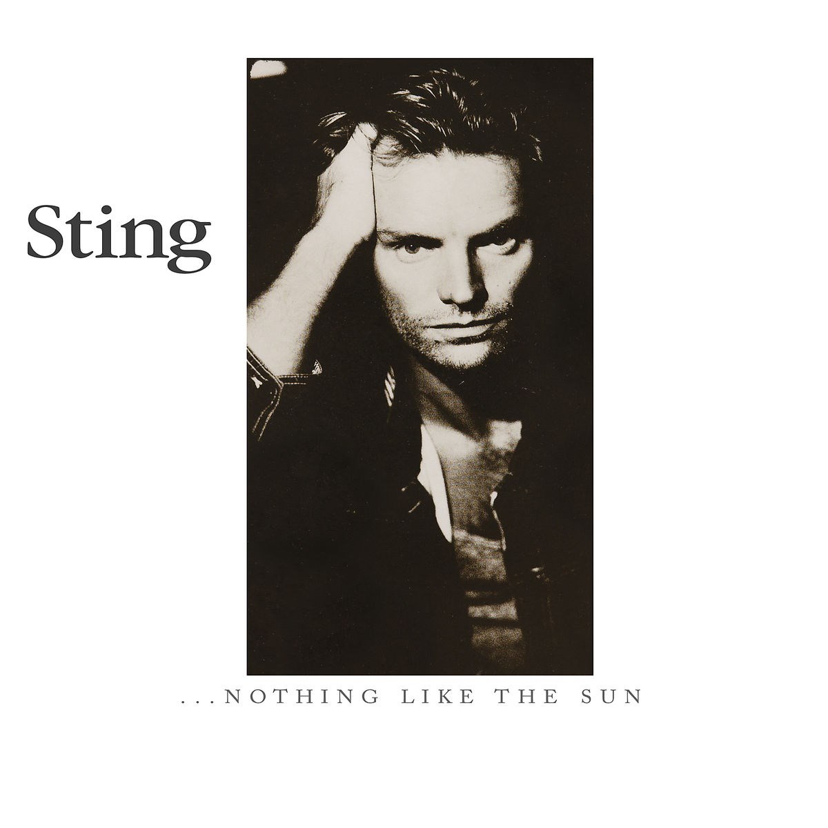 Afbeelding van Sting - ...Nothing Like The Sun