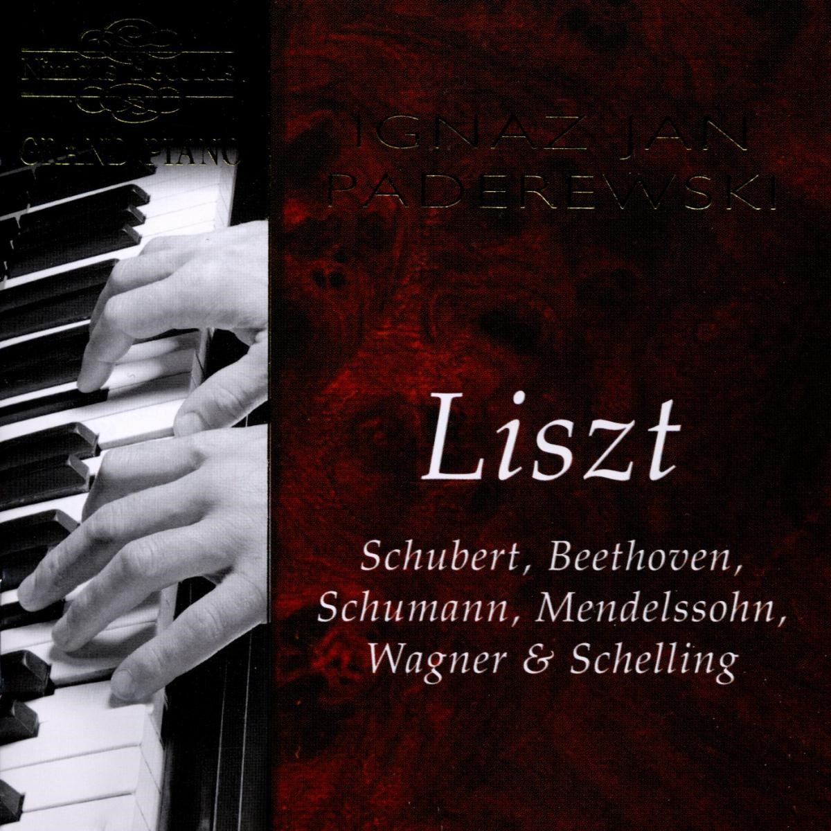 Afbeelding van Ignaz Jan Paderewski - Liszt, Schubert, Beethoven, Schumann, Mendelssohn, Wagner & Schelling