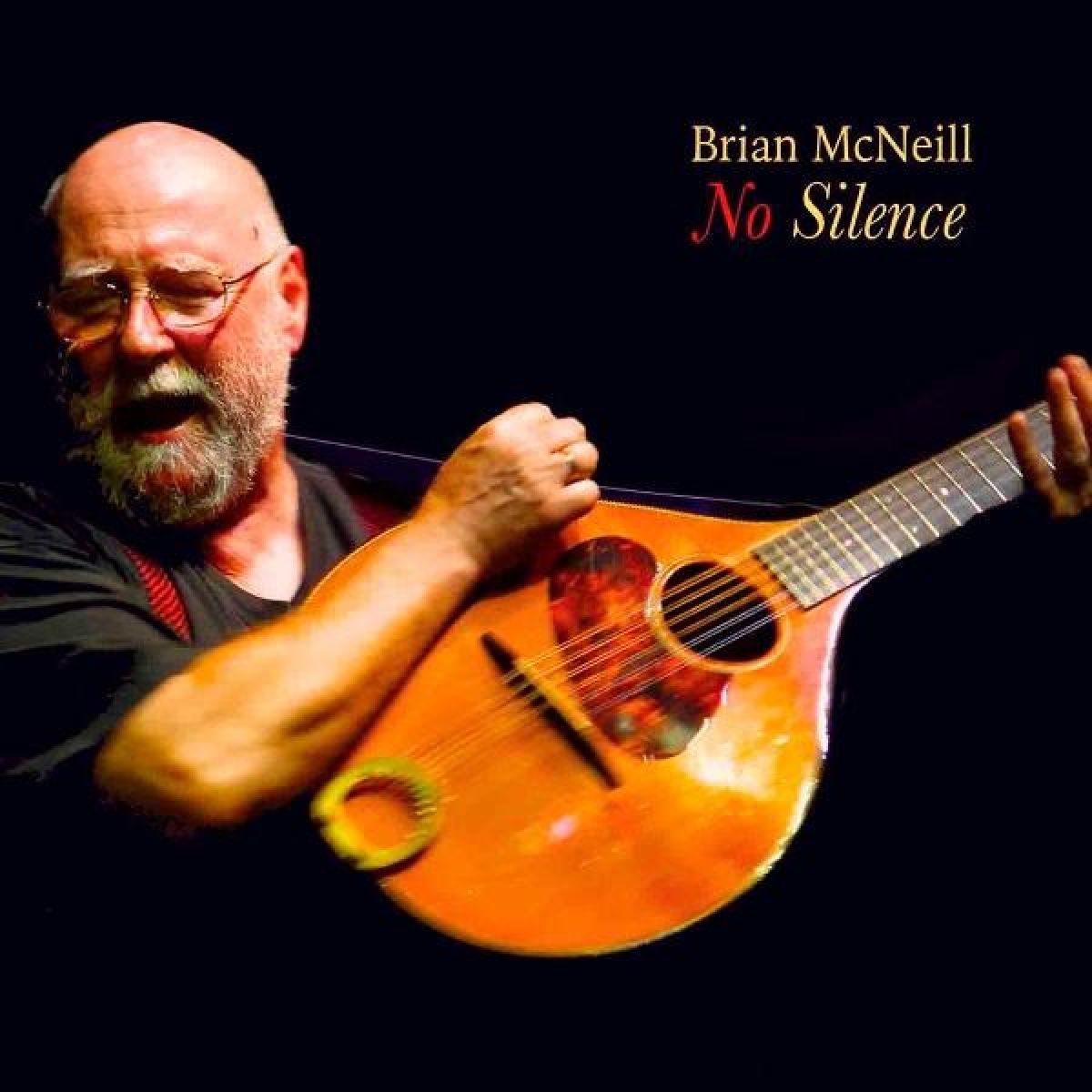 Afbeelding van Brian McNeill - No Silence