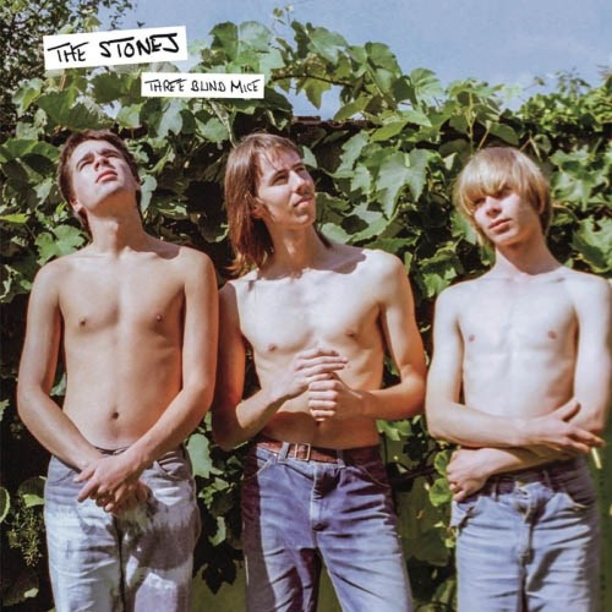 Afbeelding van Stones - Three Blind Mice
