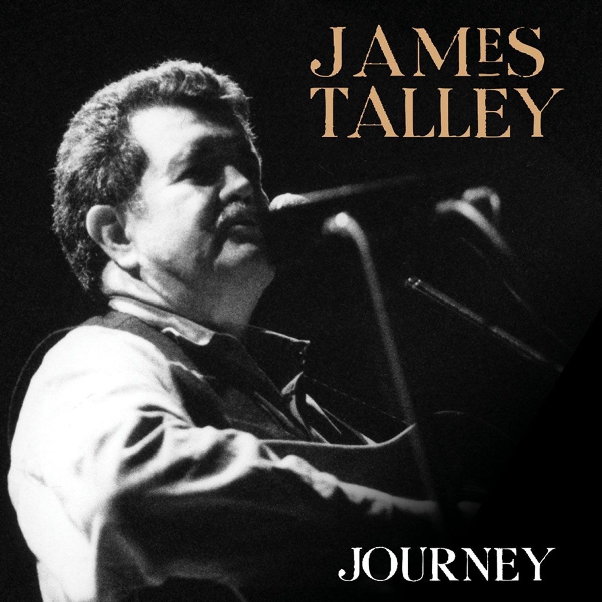 Afbeelding van James Talley - Journey