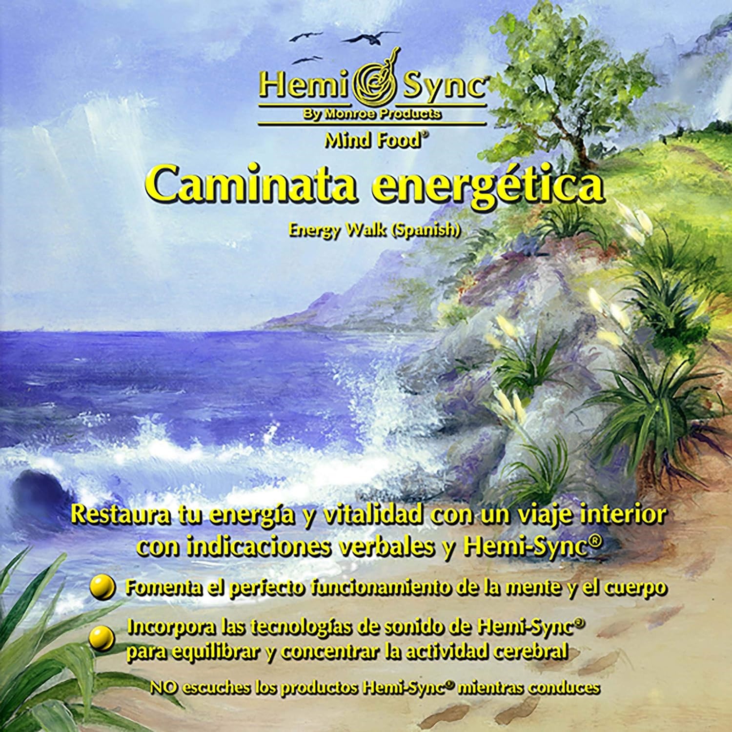Various Artists - Caminata Energética (Spanish Energy Walk)
