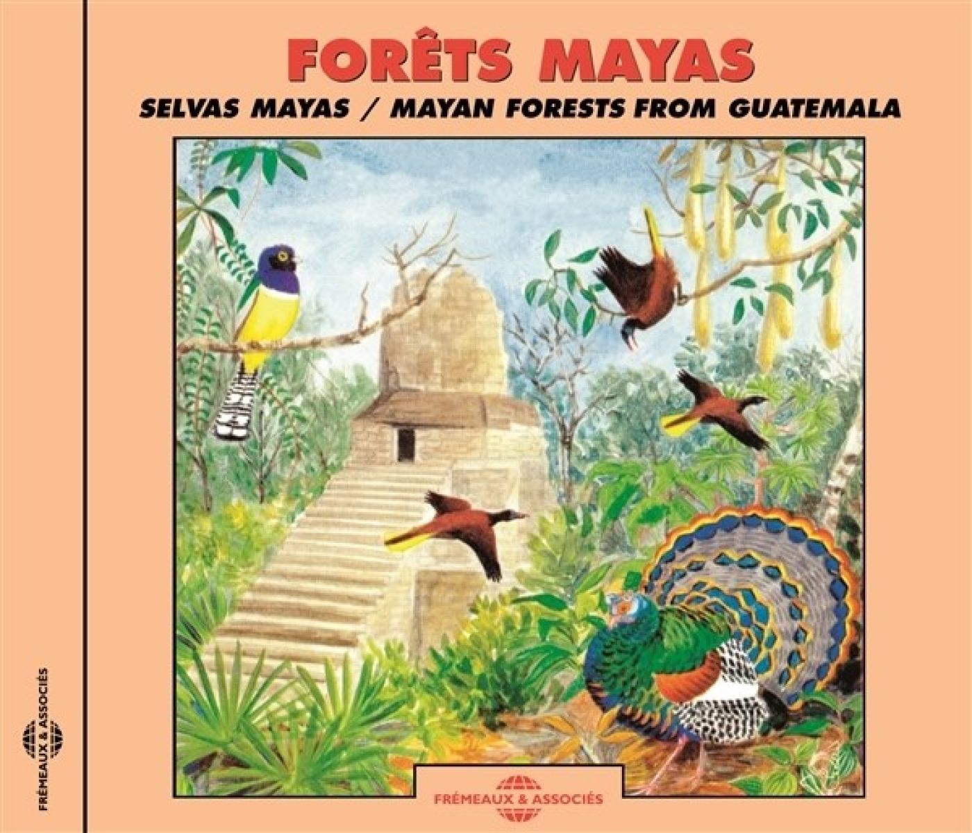 Afbeelding van Eloisa Matheu, Jean C. Roché - Mayan Forests - Soundscapes From Guatemala
