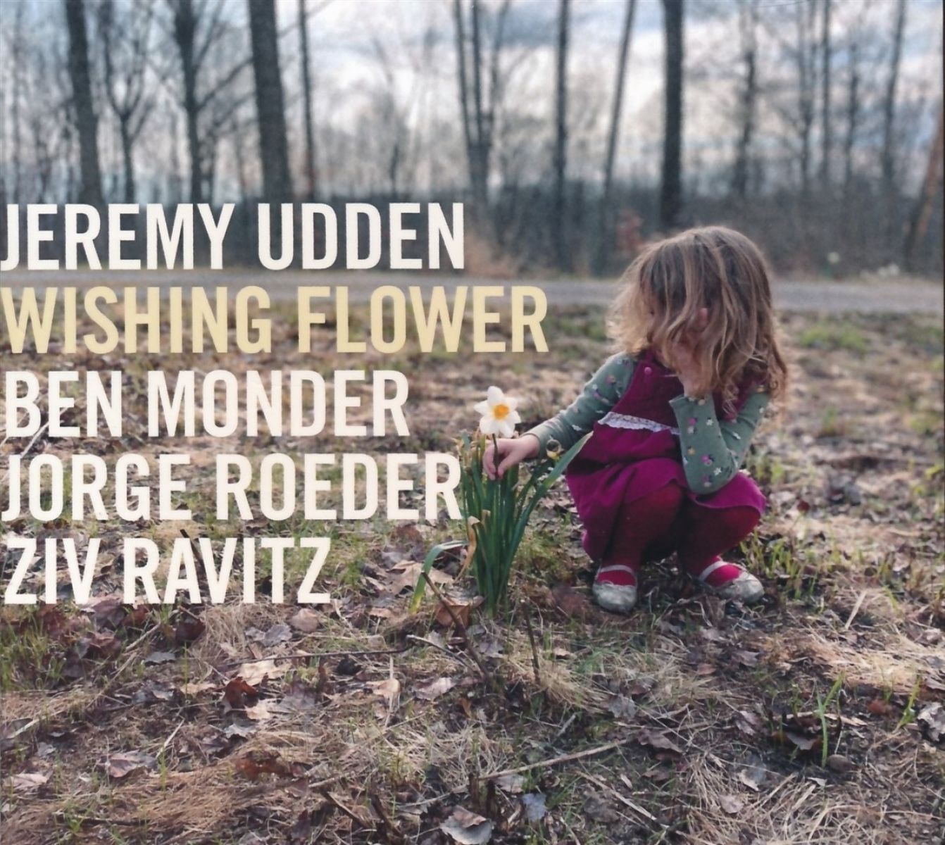 Afbeelding van Jeremy Udden - Wishing Flower