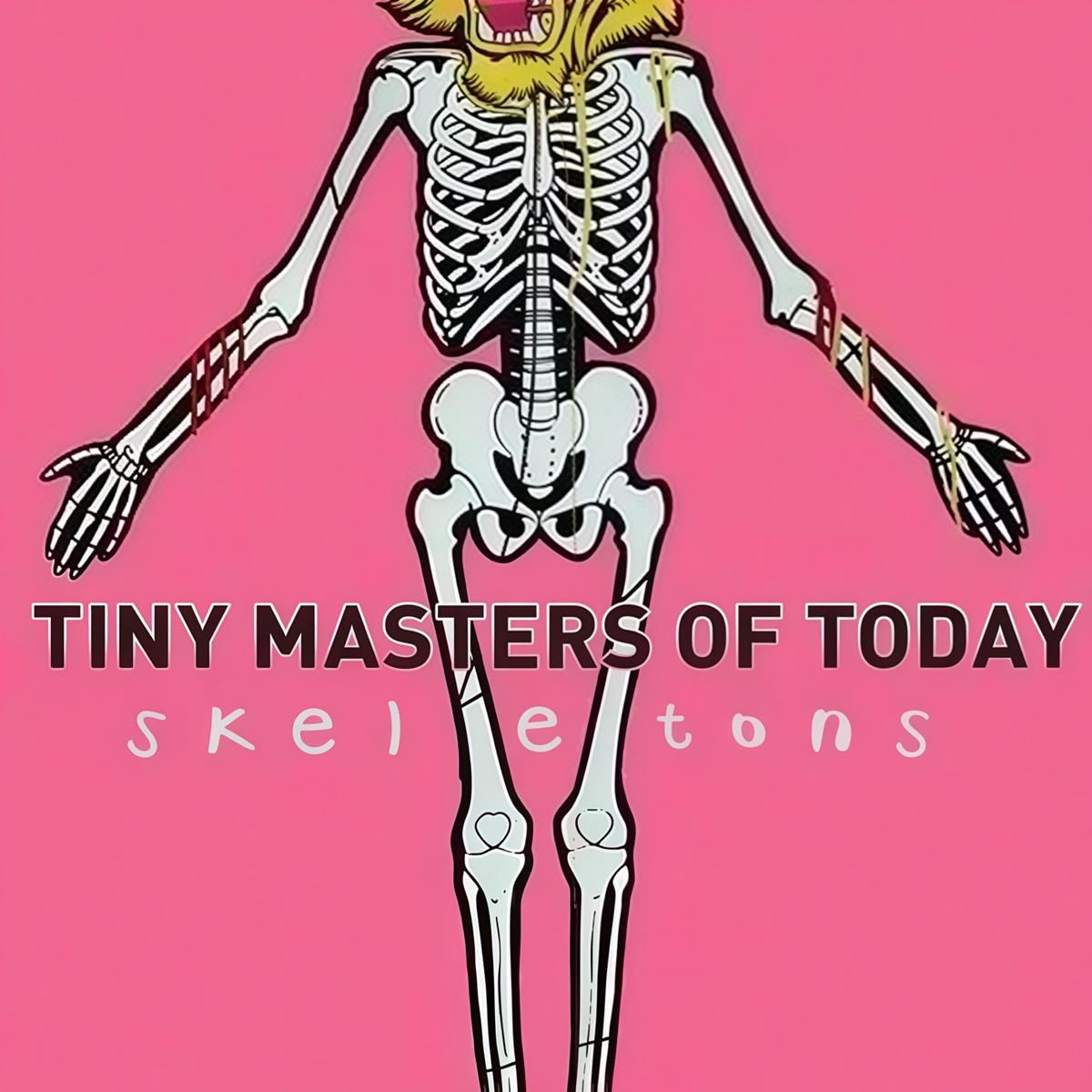 Afbeelding van Tiny Masters Of Today - Skeletons