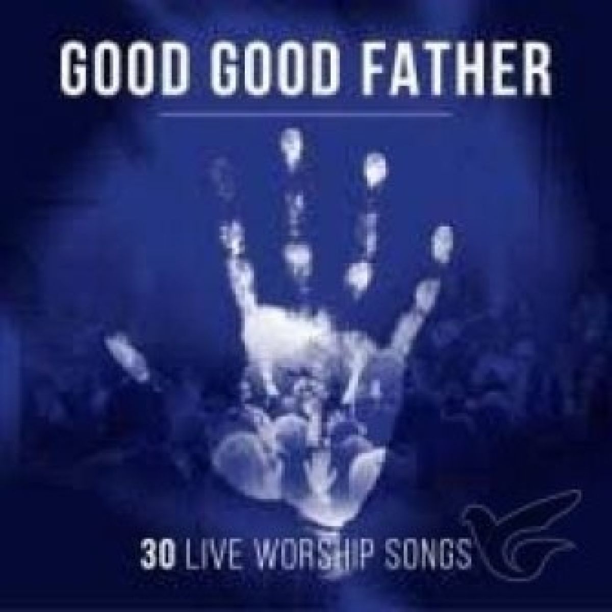 Afbeelding van Various Artists - Good Good Father