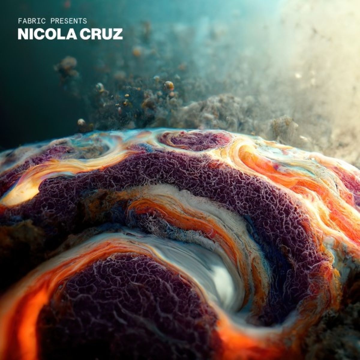 Afbeelding van Various Artists - Fabric Presents Nicola Cruz