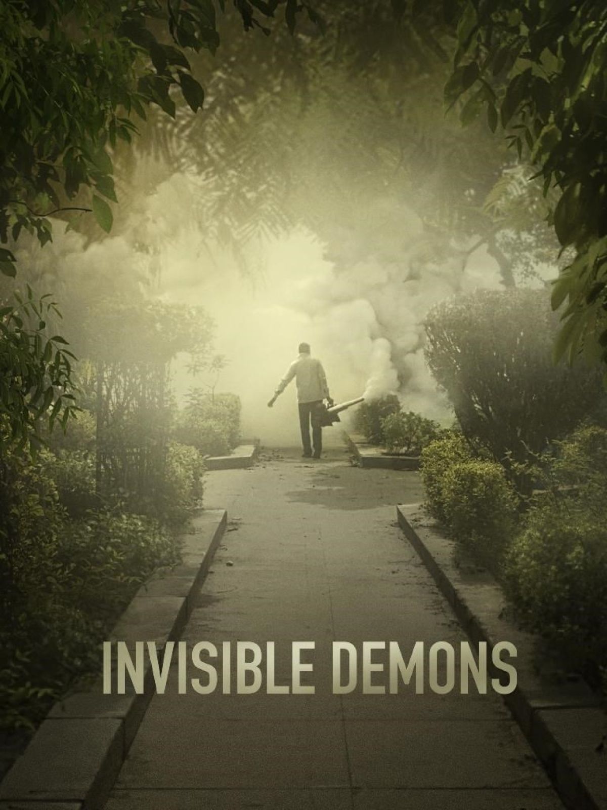Invisible Demons