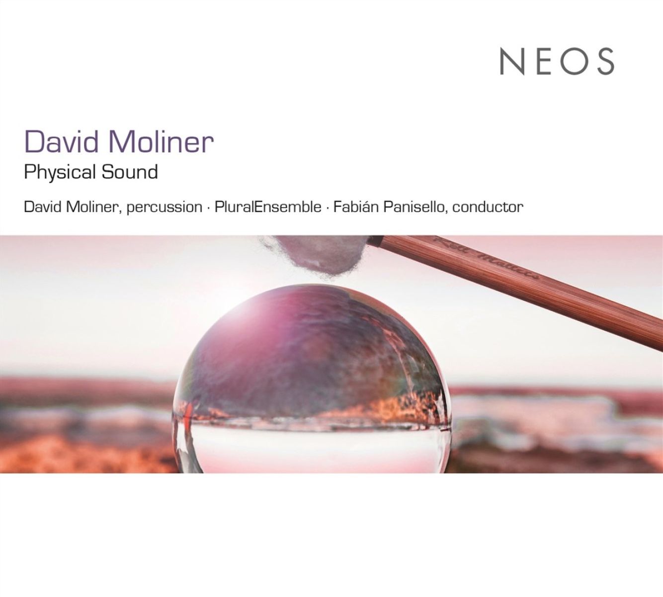Afbeelding van David Moliner, PluralEnsemble, Fabián Panisello - David Moliner Physical Sound