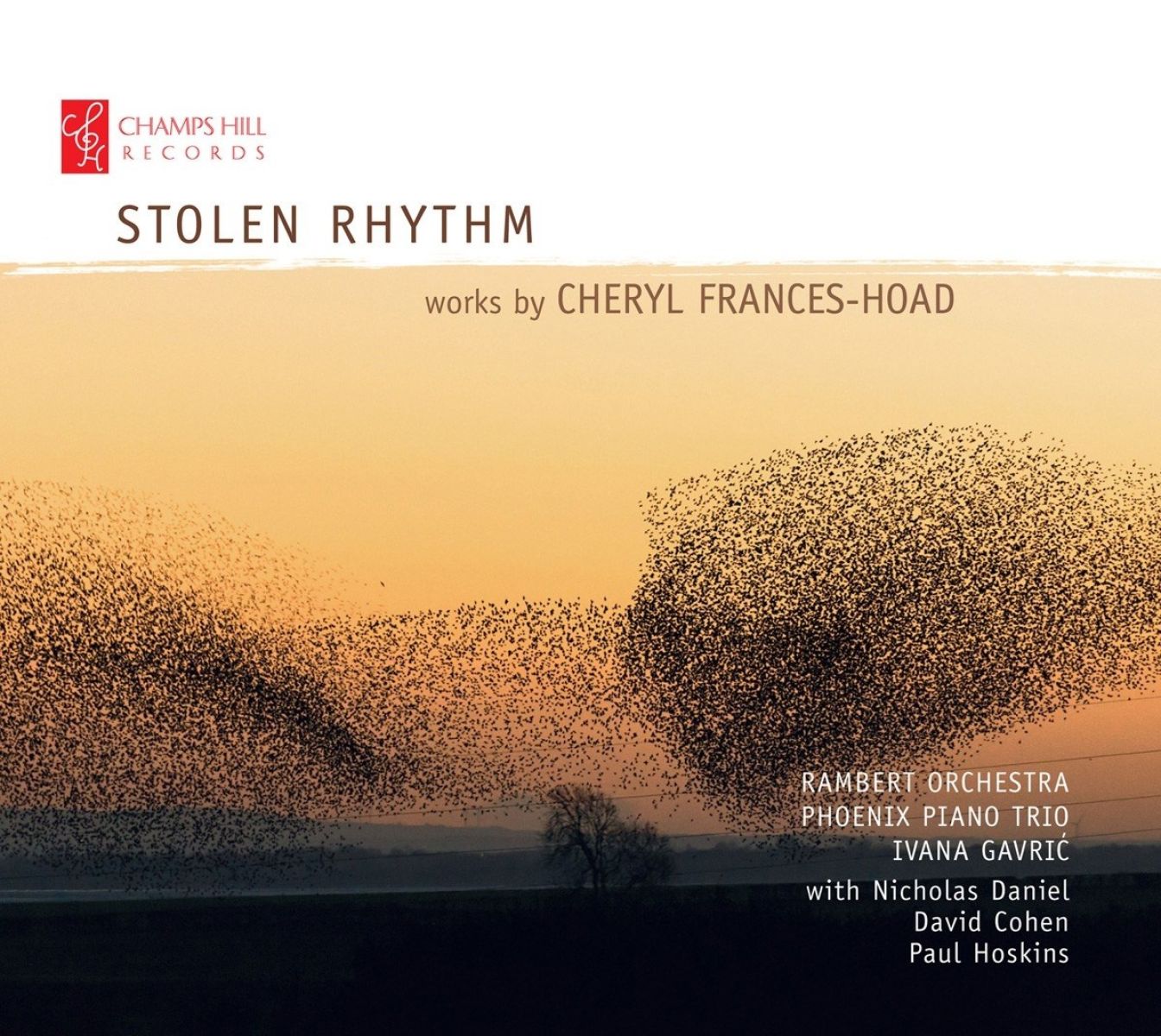 Afbeelding van Stolen Rhythm