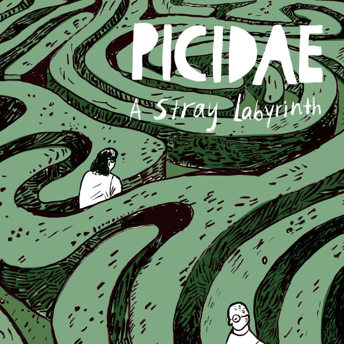 Afbeelding van Picidae - A Stray Labyrinth