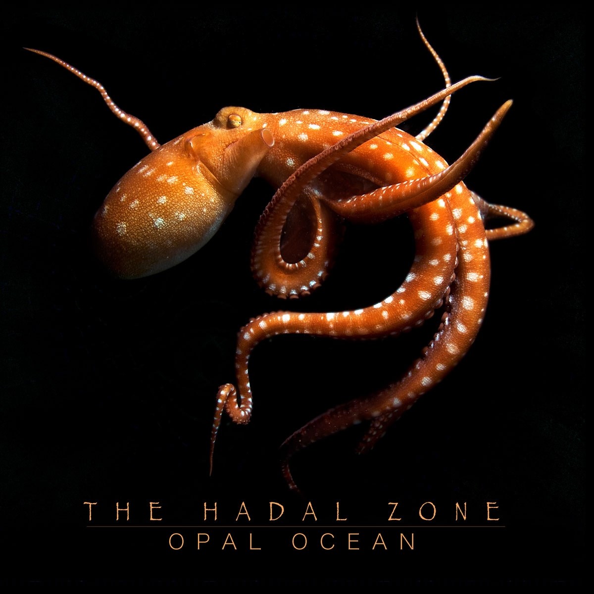 Opal Ocean - The Hadal Zone