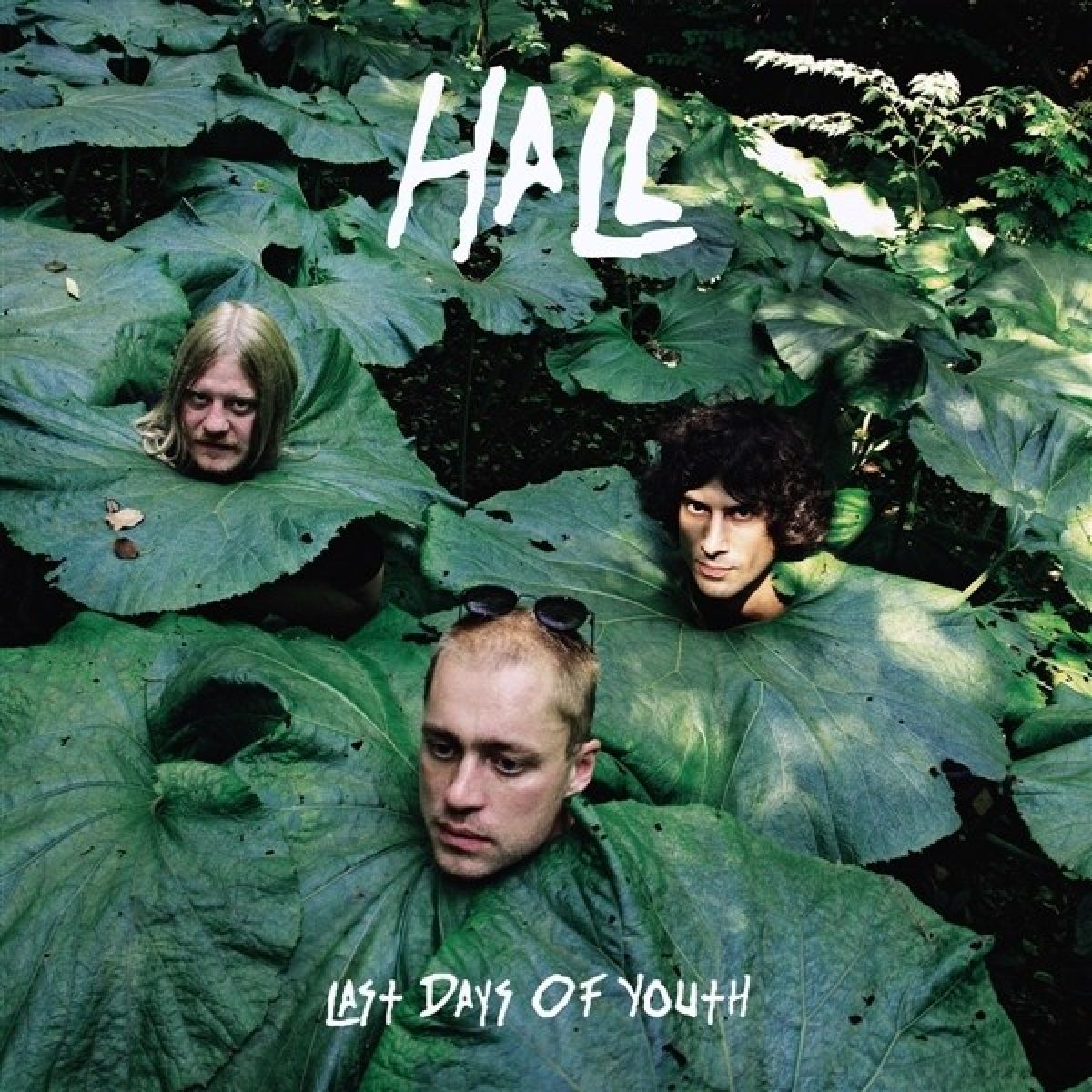 Afbeelding van Hall - Last Days Of Youth