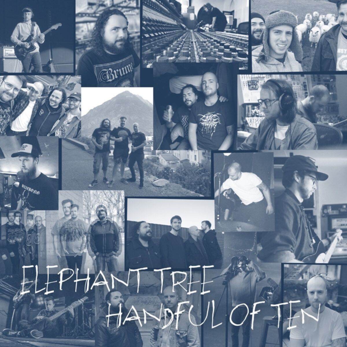 Afbeelding van Elephant Tree - Handful Of Ten